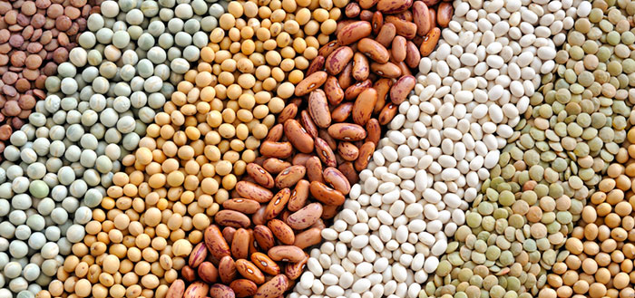 Legumes Improve Heart Risk, Glycemic Control