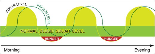 how blood sugar and insulin affect your energy and hunger during the day