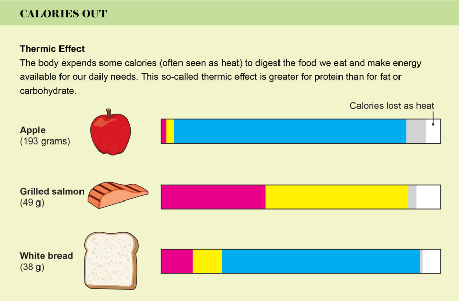 calories in and out thermic effect of food